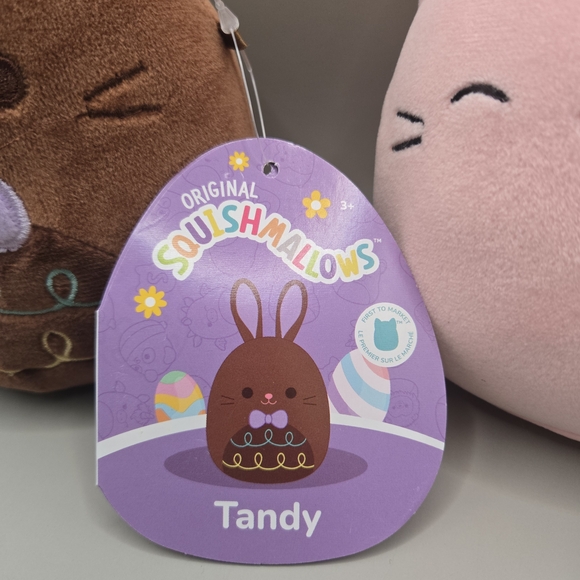 Rare Squishmallows Tandy and Wilka Plush Set First To Market - Picture 3 of 4